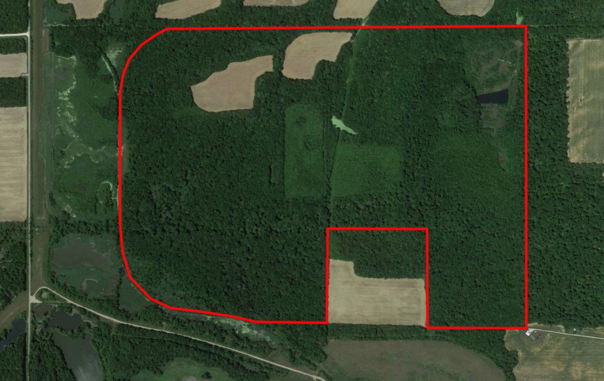 428.63+/_ ACRE TRACT LOADED WITH TIMBER, 40 ACRES OF TILLABLE, AND